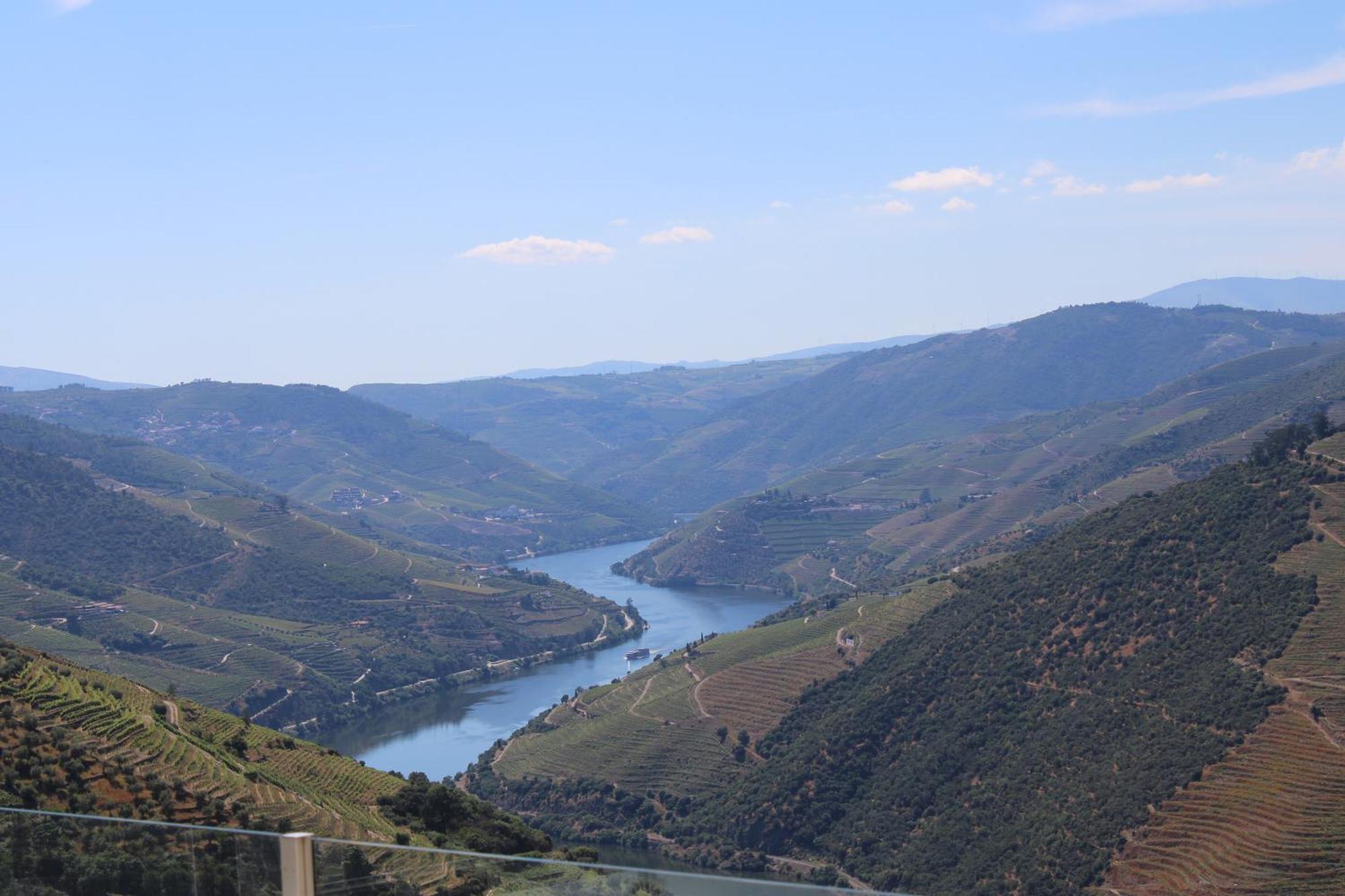 Socalcos Do Douro House Villa Valença do Douro Exteriör bild