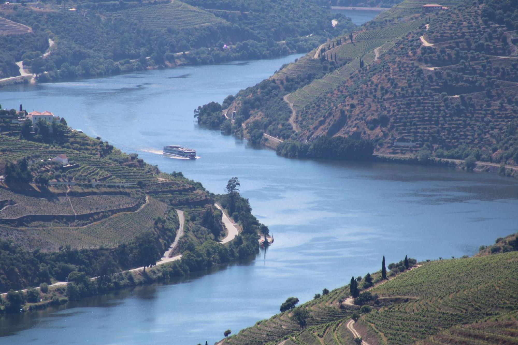Socalcos Do Douro House Villa Valença do Douro Exteriör bild